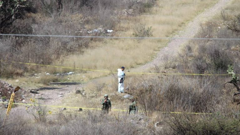 cuerpo-brisas-del-campestre