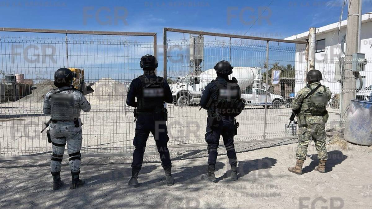 decomiso-hidrocarburo-león