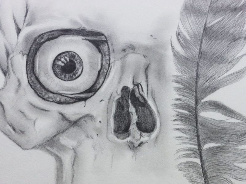 Cartografía del Hueso y el Ala: La artista “Mar de Madera” explora la introspección y el cuerpo en exposición