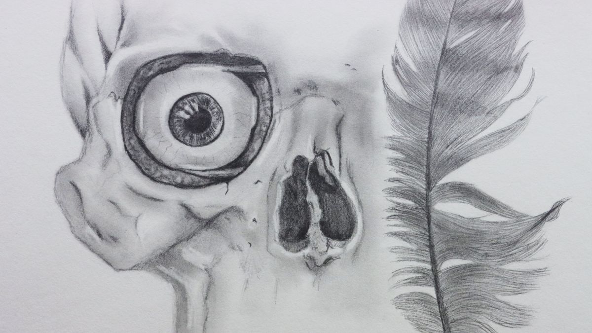 exposición Cartografía del Hueso y el Ala