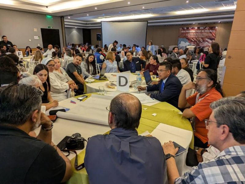 Fondos del Fidesseg generan 115 millones en intereses tras meses en la congeladora