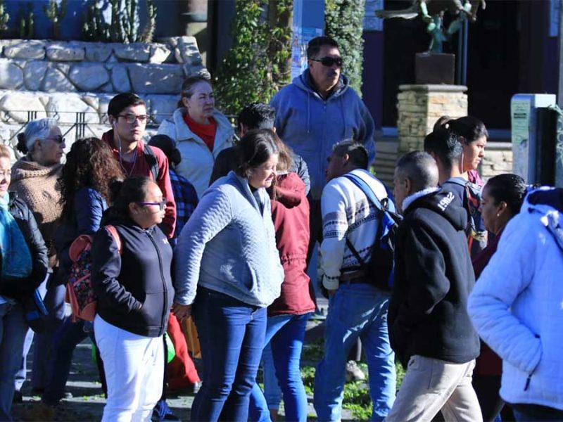 Heladas cubren todo Guanajuato y registra temperaturas bajo cero: ¡Saca la cobija y la chamarra!