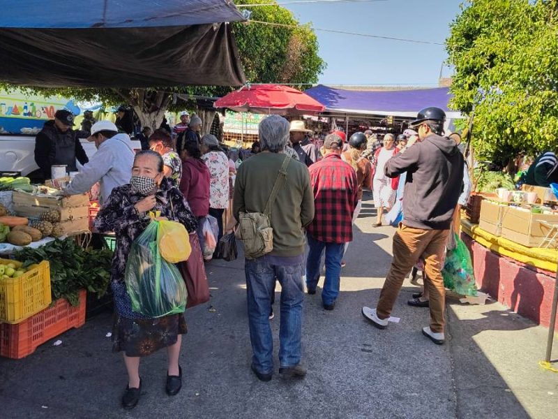 Heladas en Guanajuato: Ausentismo escolar, repunte de enfermedades y temperaturas bajo cero