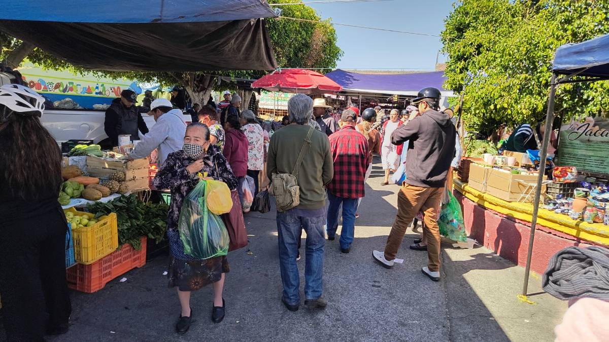 heladas-en-guanajuato