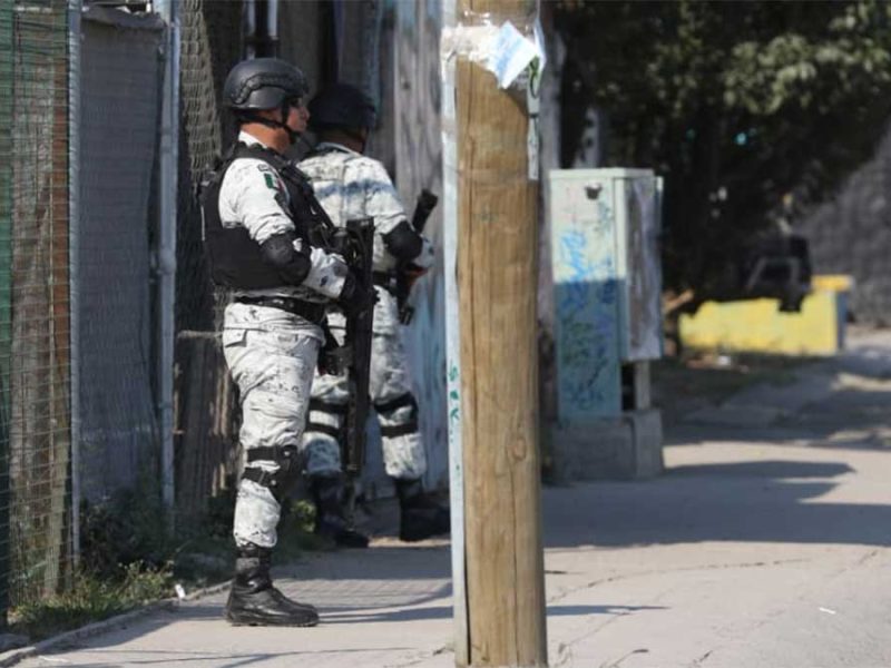 Macabro hallazgo en León: Localizan cabeza humana en jardinera de Parques La Noria