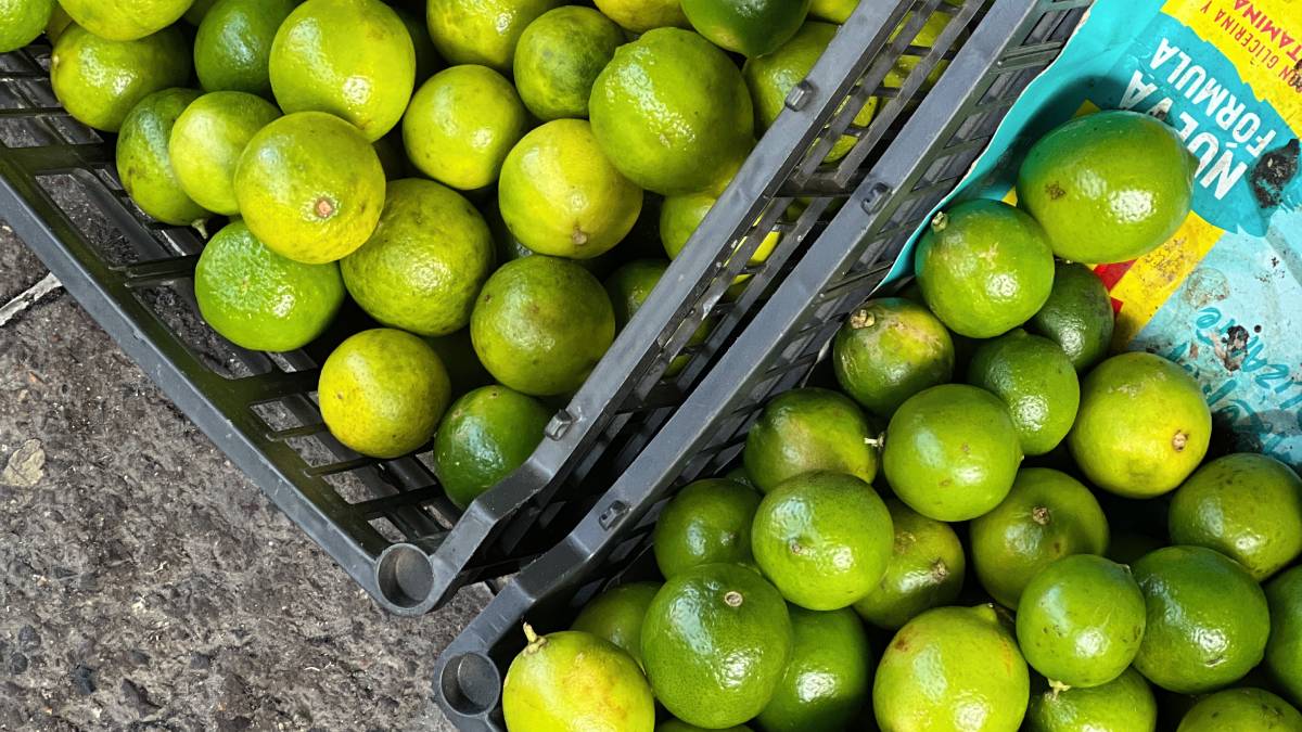 limon-en-guanajuato