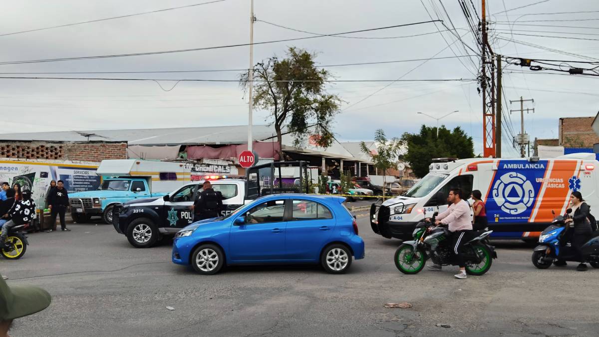 macro-tianguis-san-francisco-del-rincon