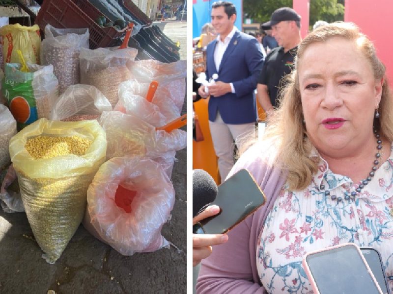 ‘Vendan su maíz al precio’, advierte Secretaría del Campo a productores de Guanajuato