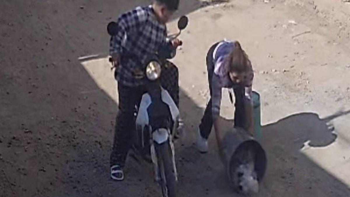 maltrato-animal-león