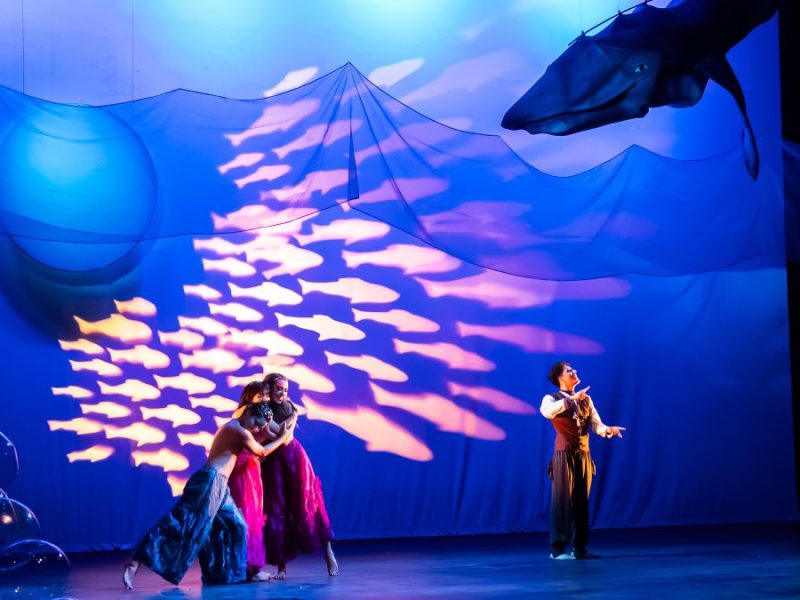 La obra “Océano” de enSEÑAteatro llega al Bicentenario con un conmovedor mensaje de inclusión