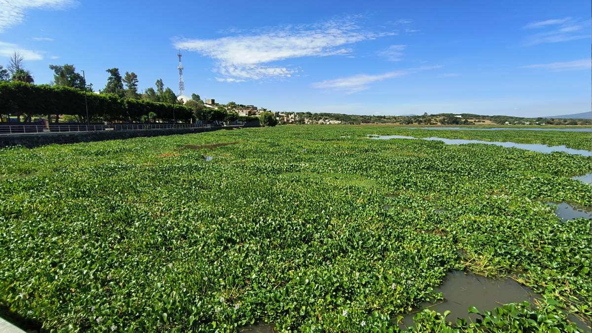 pescadores-de-yuriria-lago