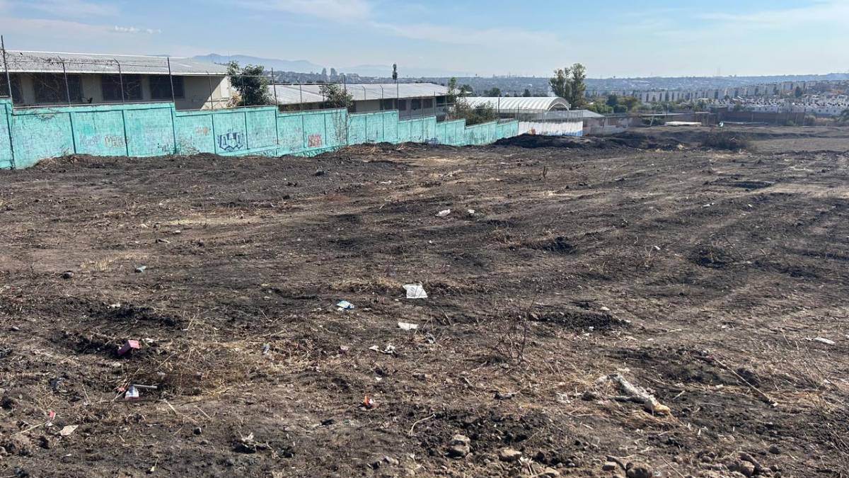 predio-rizos-la-joya