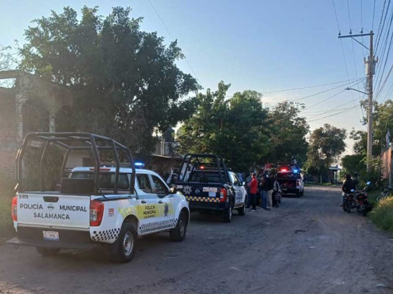 Perros descubren tumba clandestina en Comaleros de Salamanca; hallan restos óseos