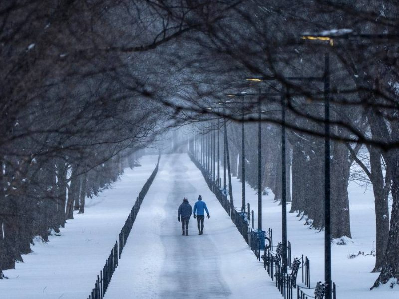 Tormenta invernal en Estados Unidos: Un millón sin luz y miles de vuelos cancelados