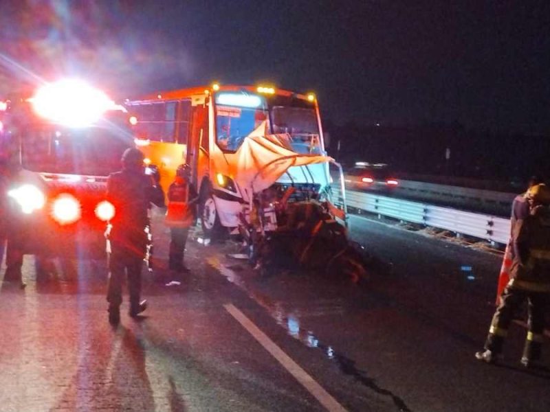 Tragedia de peregrinos: Arrollan y matan a dos hombres y un caballo; iban hacia Cristo Rey en carreta