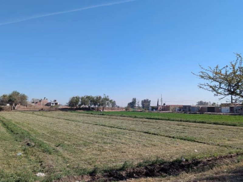 Agradecen campesinos estufas y silos, pero piden respaldo para sembrar en Irapuato