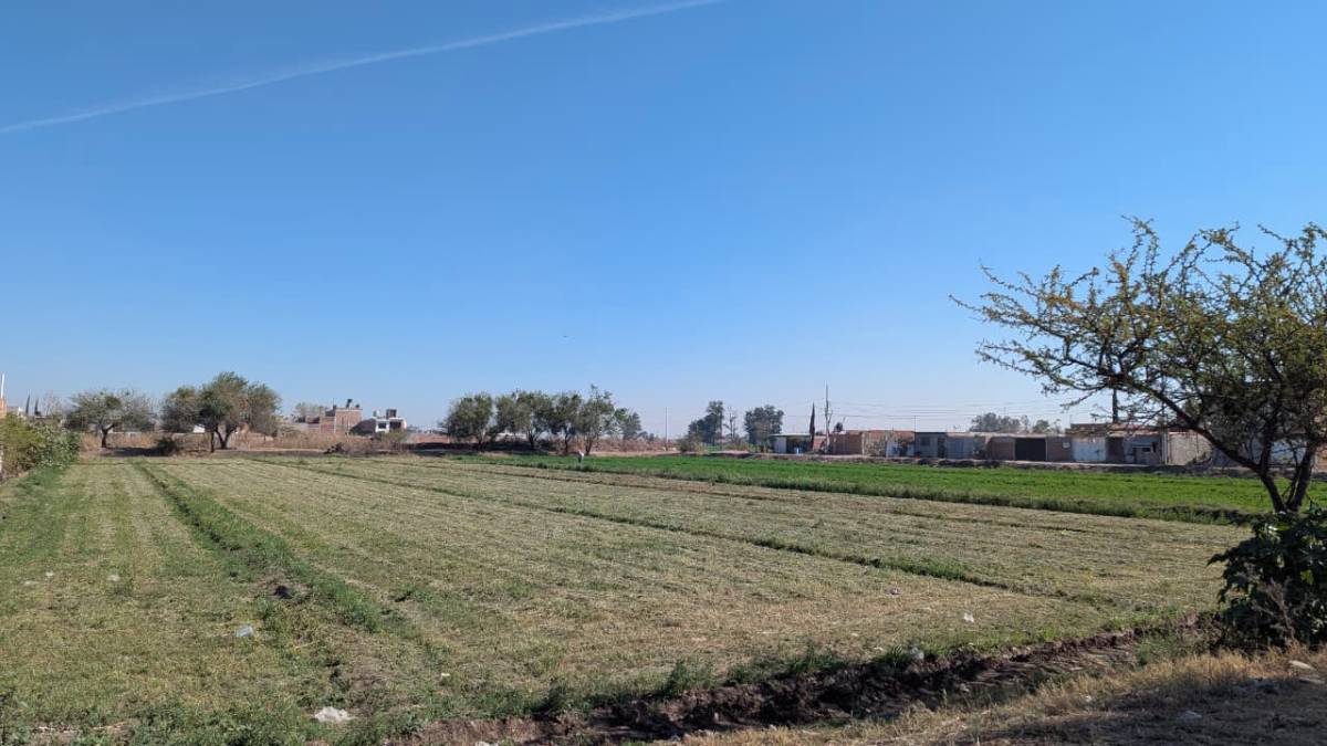 Apoyos rurales Irapuato