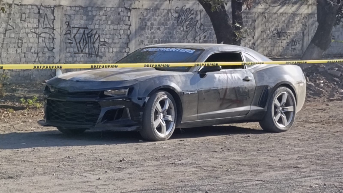 Cadáver desmembrado en Valle de Santiago