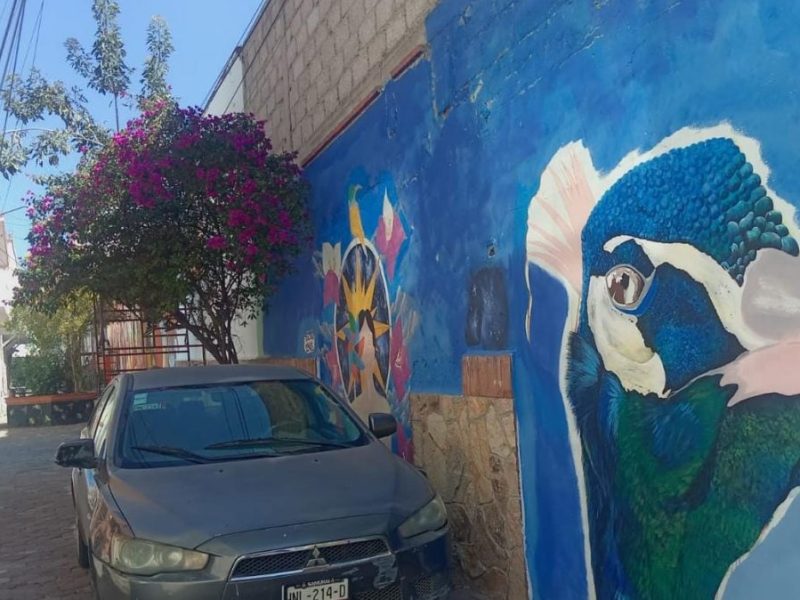 Callejón Nicolás Romero debe ser peatonal por muralismo: vecinos