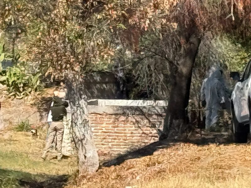 Fiscalía confirma hallazgo de 20 cuerpos en fosas en Juventino Rosas