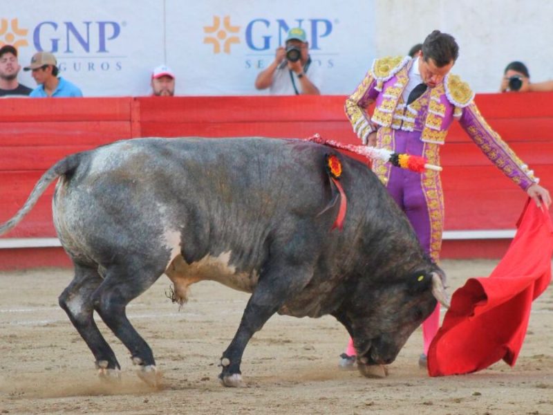 Daniel Luque y Diego San Román salen a hombros en La Luz de León