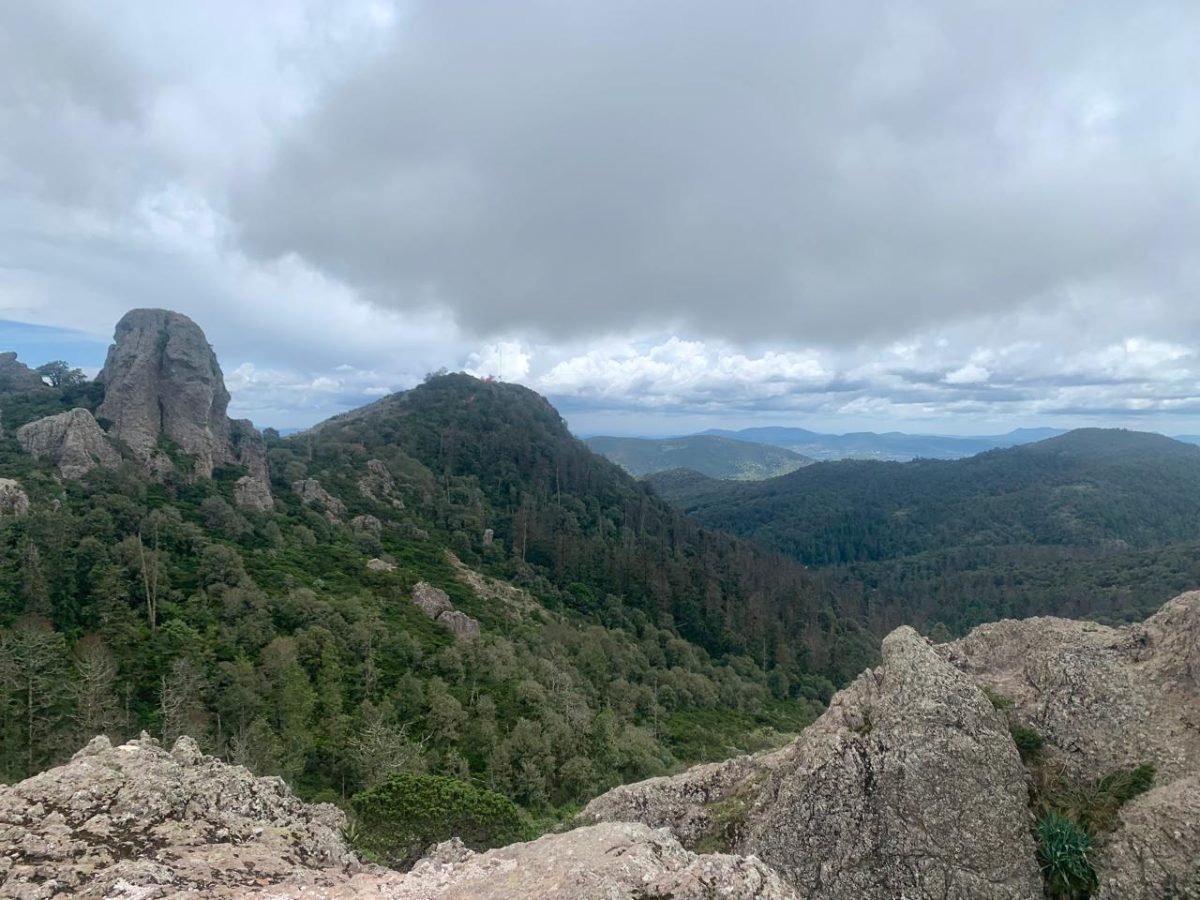 ¿Planeas ir a El Chico este fin? Hay zonas cerradas temporalmente