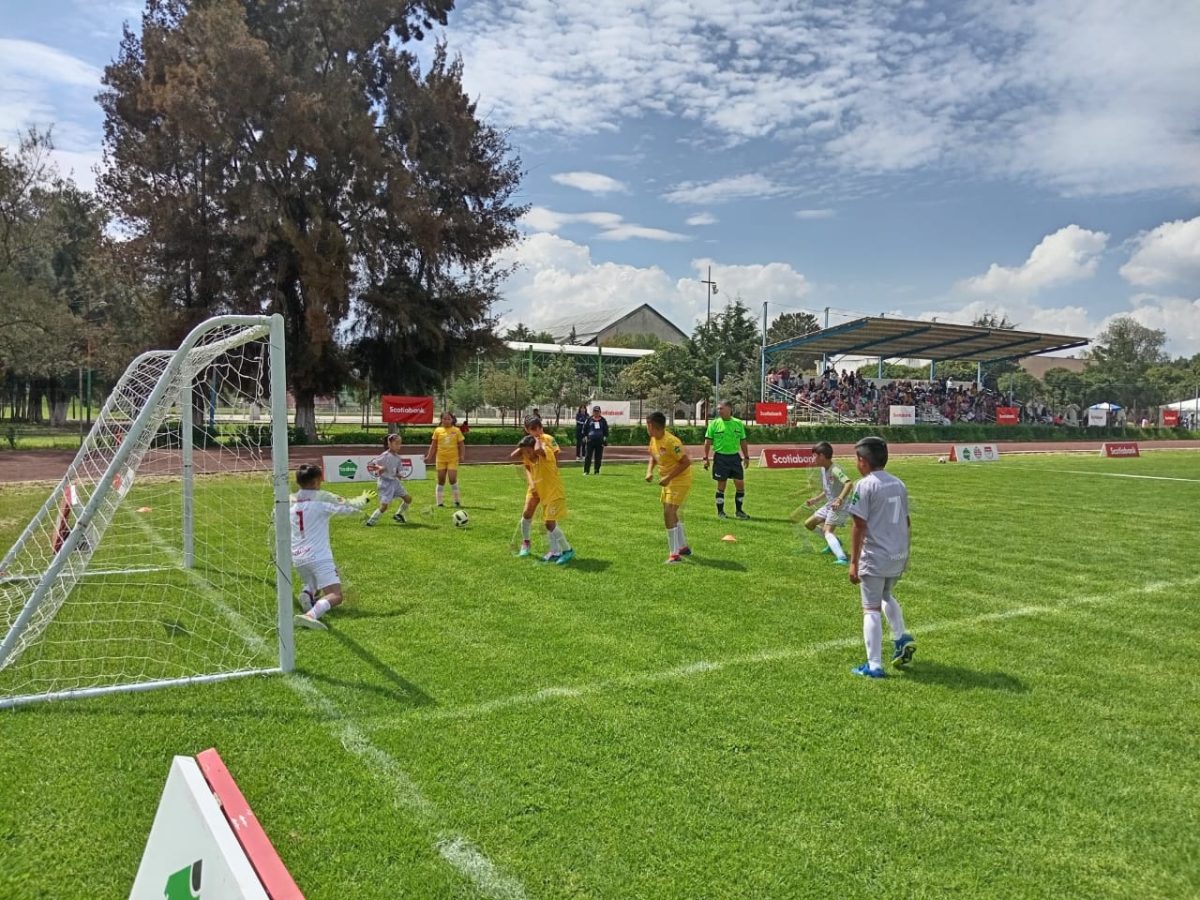 Tulancingo albergará eliminatoria estatal del Nacional Infantil Scotiabank 2026