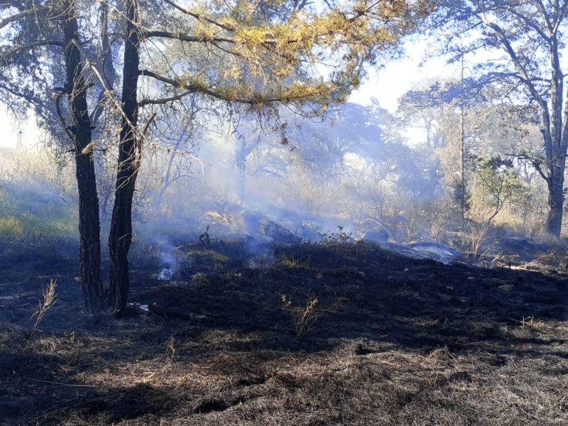 Alerta por riesgo de nuevos incendios en Santiago Tulantepec