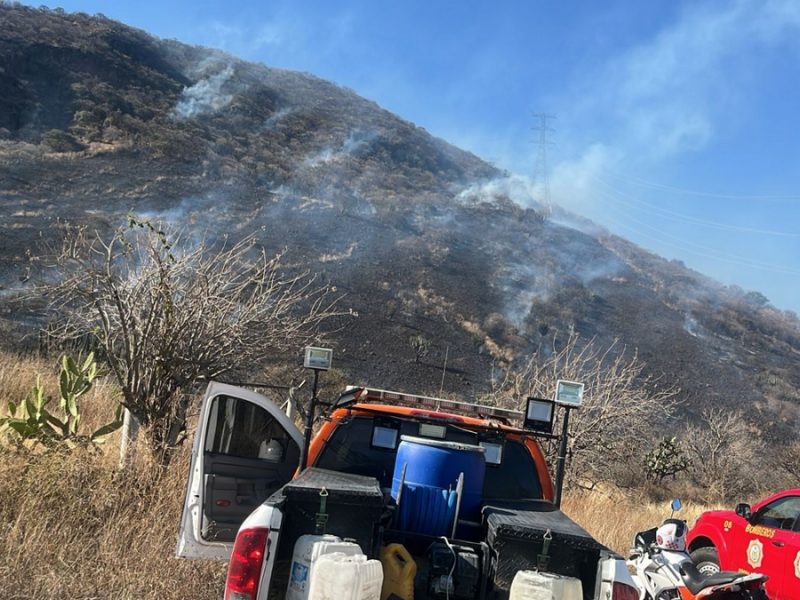 Combaten incendio en Área Natural Protegida del Cerro del Palenque; afecta ocho hectáreas en Purísima