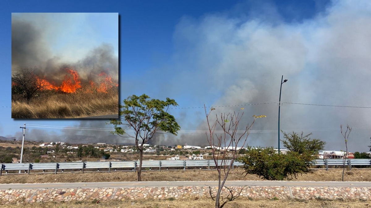 Incendio de pastizal en León
