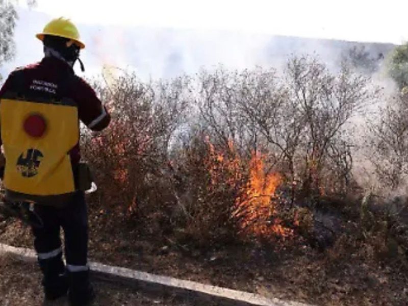 9 de cada 10 incendios en Hidalgo son provocados: Protección Civil