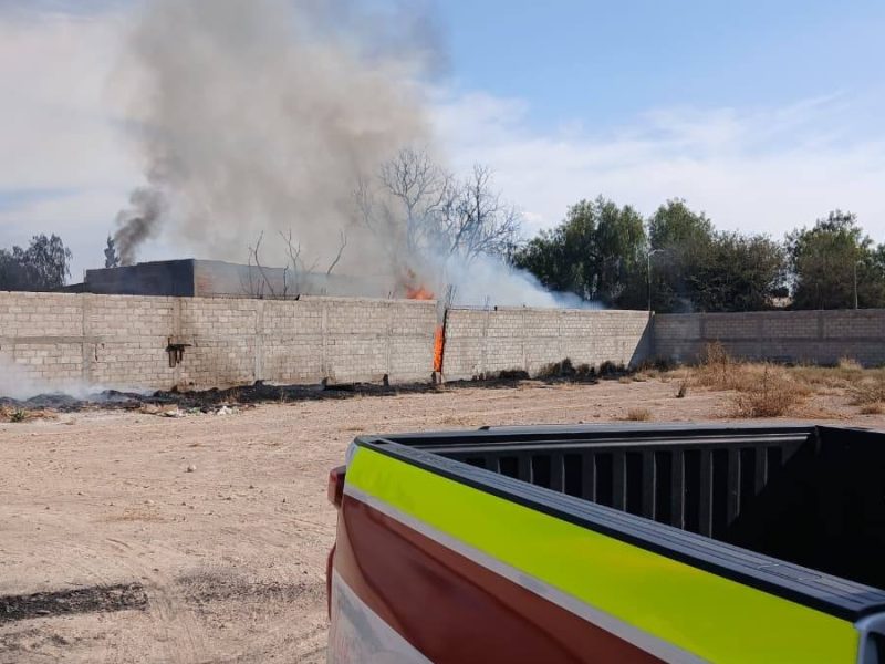 Incendios en Celaya: Bomberos atienden hasta 20 reportes diarios, 60 % son provocados