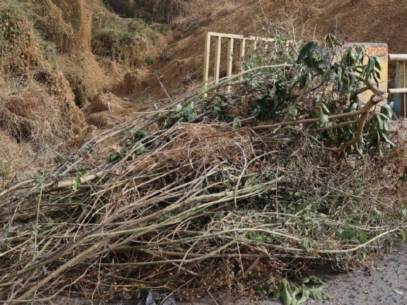 Acumulación de basura, motiva campaña de limpia de arroyos en Purísima del Rincón