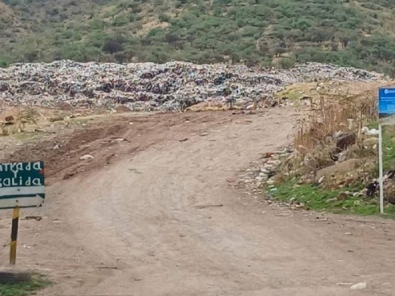 Investigan muerte de perros envenenados en Santa Teresa Guanajuato