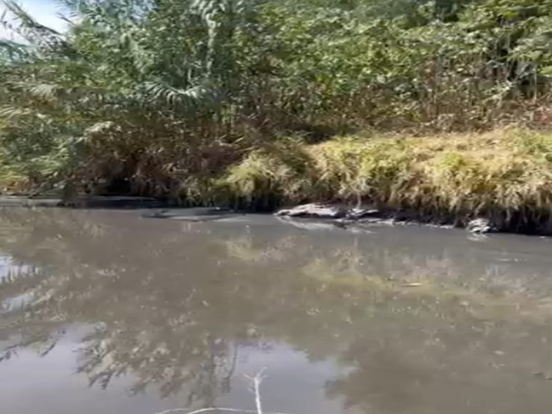 Denuncian presunto abandono en la Presa de Silva