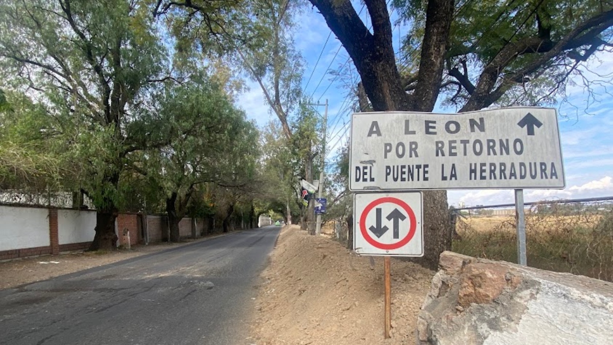 Sepultan en vida árboles en León