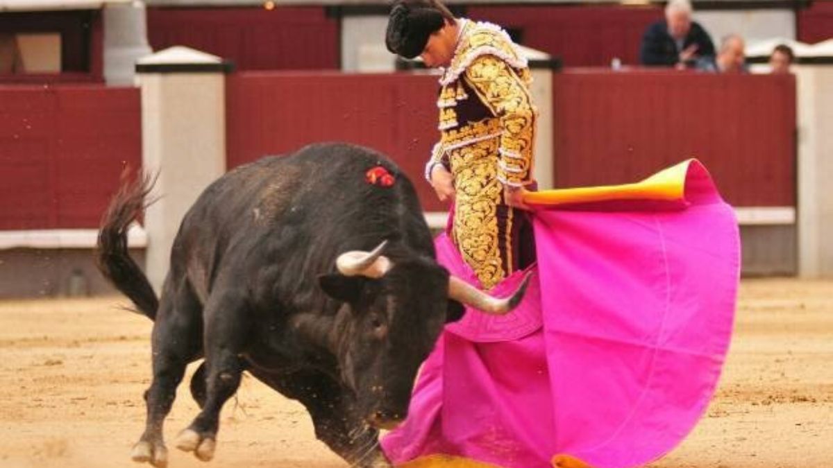 Serial Taurino Daniel Luque