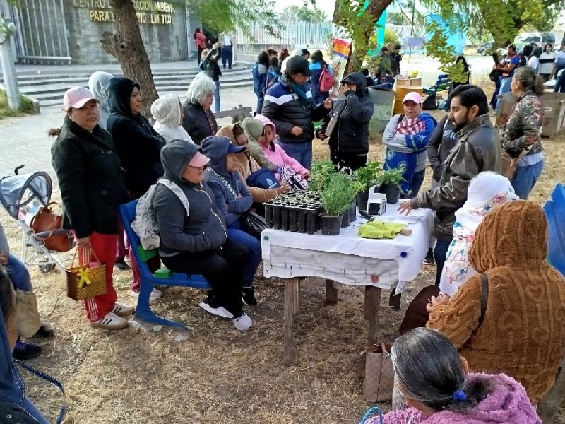 Supera Celaya metas de sostenibilidad: Se convierte en sede regional de acopio y reforestación