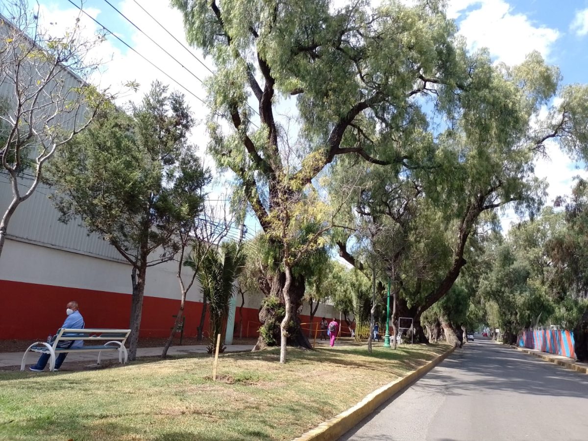 Por su cuenta vecinos colocan topes viales: ¿qué dice alcalde de Pachuca?