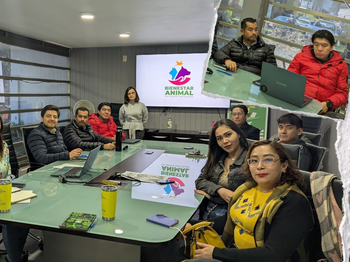 PVEM Hidalgo impulsa capacitación con AHPAAC para fortalecer el bienestar animal