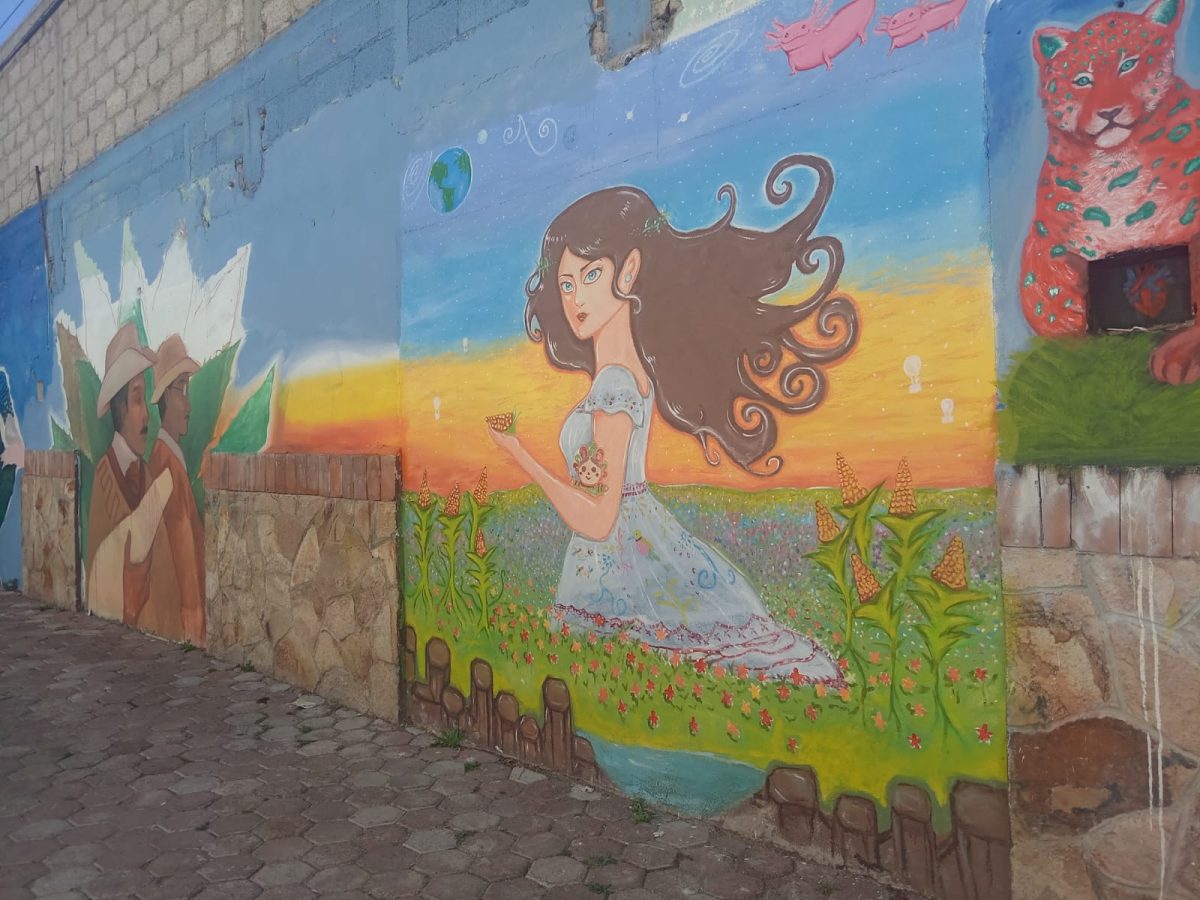 Pachuca se pinta de colores: 20 murales extras en el Arbolito