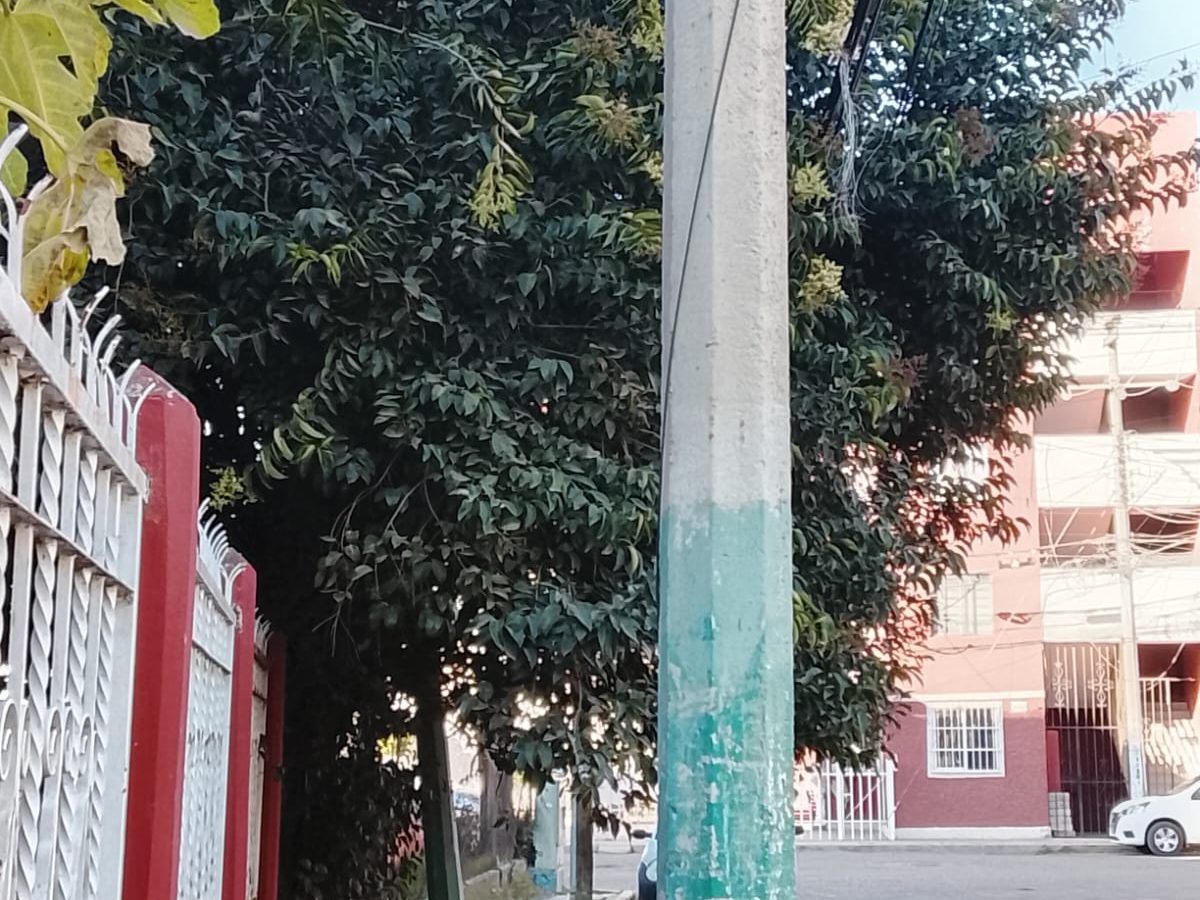 Denuncian cobros irregulares por servicios municipales en Tulancingo