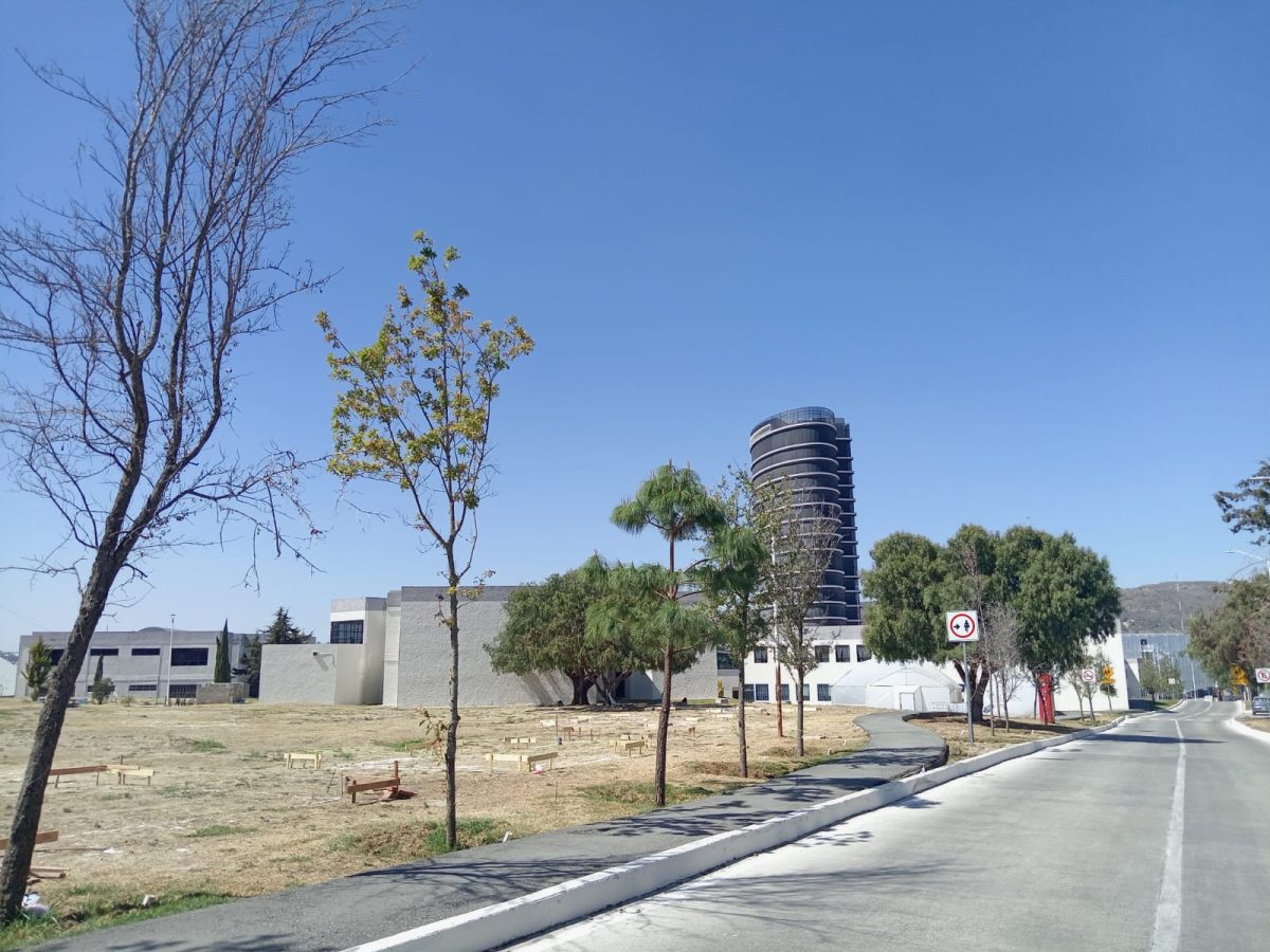 Desmienten estudiantes de UAEH encuentro therian en Pachuca