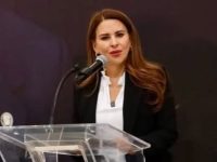 Conflictos de Morena retrasarán reforma electoral: Viggiano