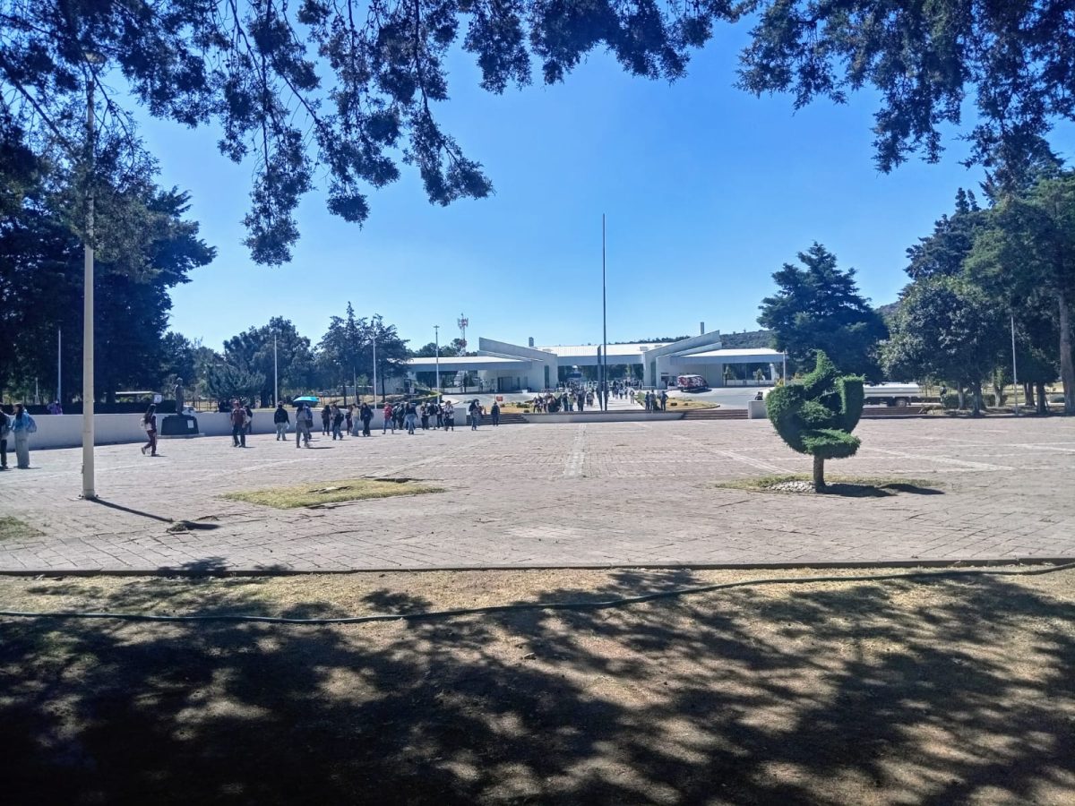 ¡Esto se descontroló! Reaccionan a falsa reunión therian en Pachuca