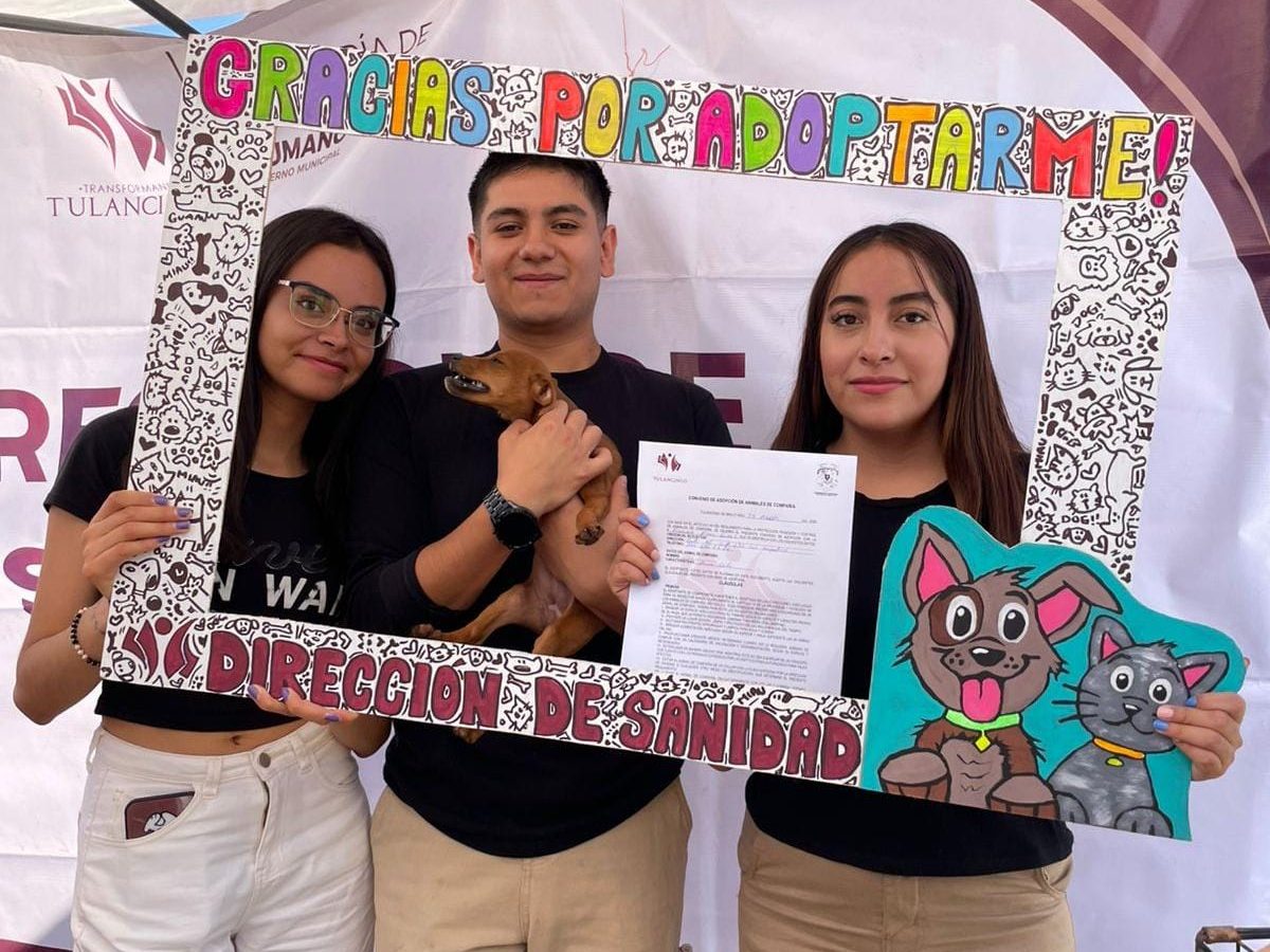 Tulancingo realizará su Primera Feria de Bienestar Animal