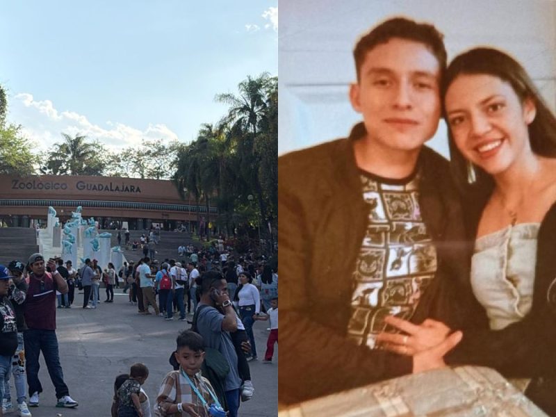 Leoneses atrapados en Jalisco: Viven incertidumbre en el Zoológico de Guadalajara y Tequila