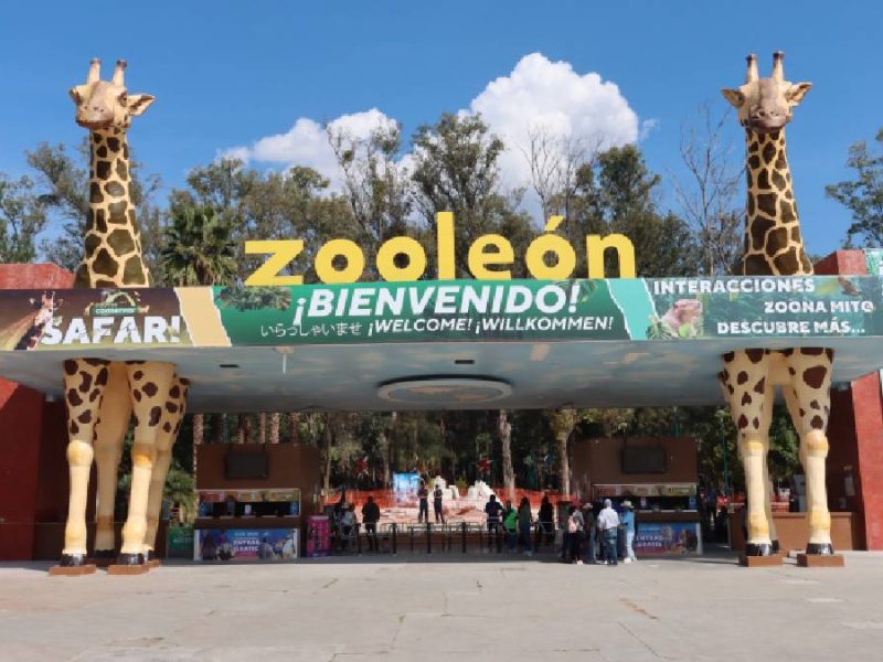 Auditoría al Zoológico de León revela medicinas sin llave, desorden y hasta billetes falsos