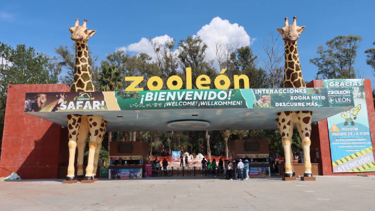 auditoría Zoológico de León