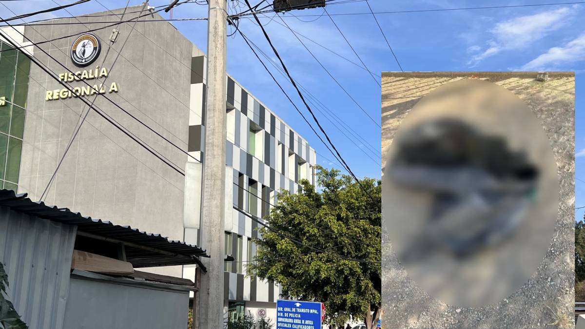 calcinado-fiscalia-general-del-estado-leon